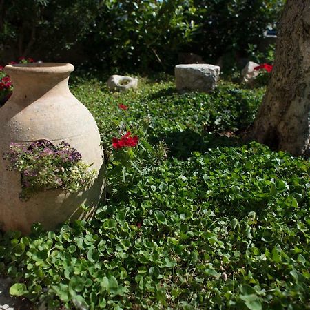 Grandi Trulli Bed&Breakfast Alberobello Dış mekan fotoğraf